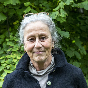 Birgitta Hogendoorn