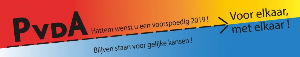 https://hattem.pvda.nl/nieuws/de-pvda-hattem-wenst-u-een-voorspoedig-2019/
